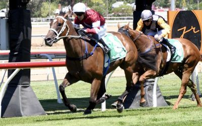 Bargain buy delivers again, Legacy chasing metro win