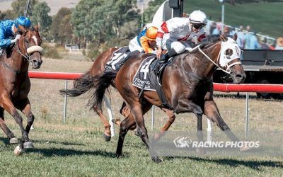 Dales chases success at Towong