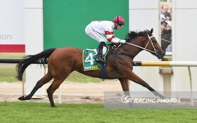 Five Chances for Dale Stable on Albury’s Biggest Stage