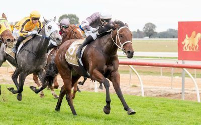 Densetsu Breaks Through At Echuca For Andrew Dale Racing