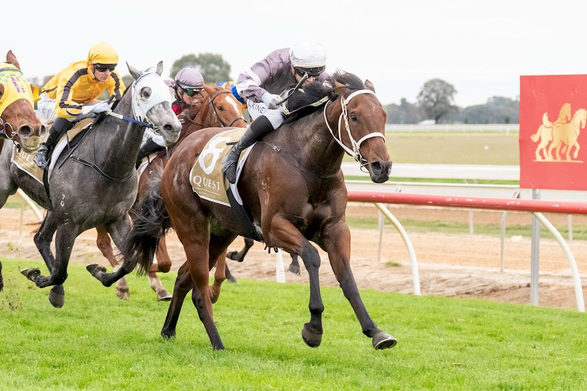 Densetsu Breaks Through At Echuca - Andrew Dale Racing
