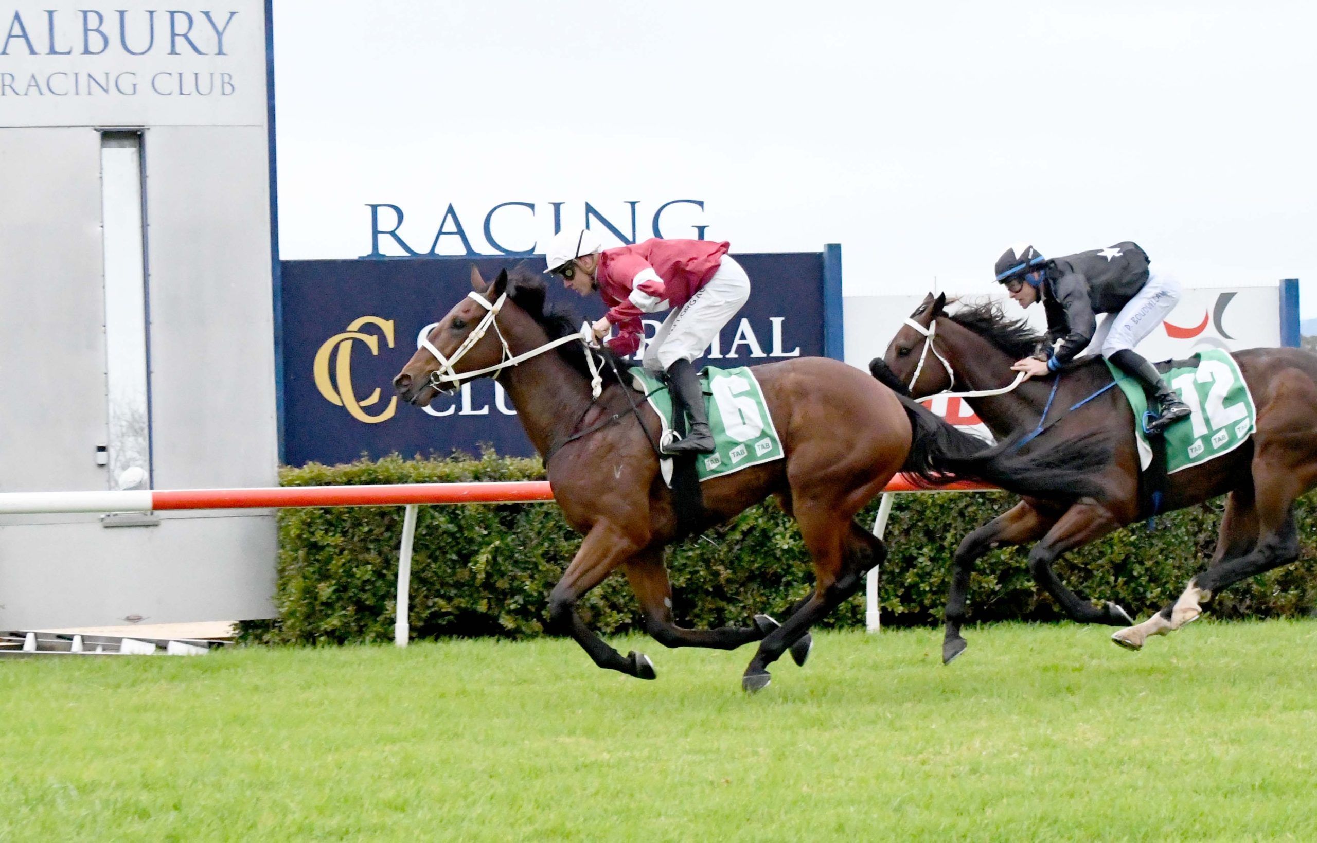 Super Paradise Delivers Again - Andrew Dale Racing