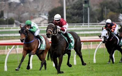 Soho Princess Breaks Through in Style at Wagga