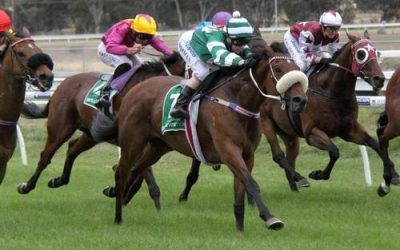Warrnambool Favourite A Maiden No More