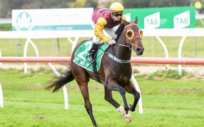 Clever Ride Delivers Winning Spark