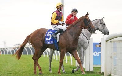 Sparks Into Action At Pakenham