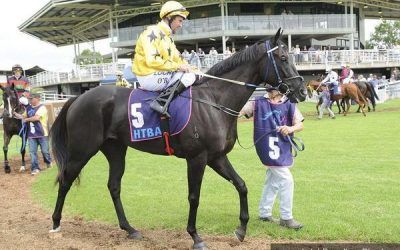 Spinning Gold Heads To Gosford On ANZAC DAY