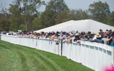 Spinning Gold To Represent Stable At Muswellbrook On Friday