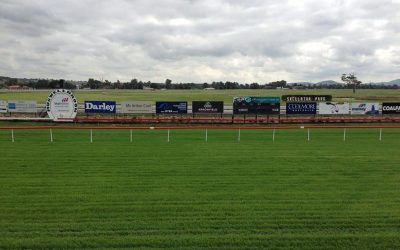 Miello To Contest At Muswellbrook