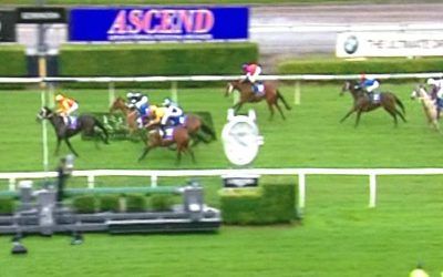 Miello Runs A Nice Third At The Kenso