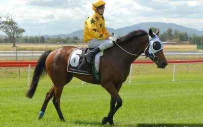 Miello Hoping For Some Luck At Kensington Meeting