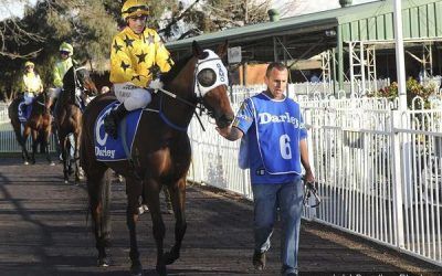 Miello Planning A Trip To Warwick Farm