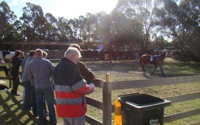 Strategy Zed To Visit Cessnock On Monday