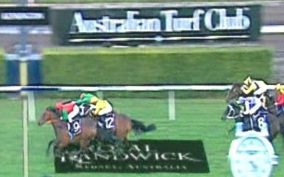 Solid Effort By Miello At Randwick