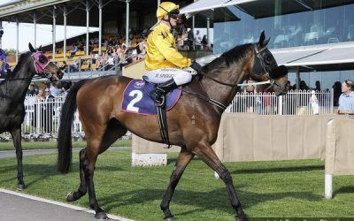 Nissile Second Up For The Team At Newcastle On Cup Day