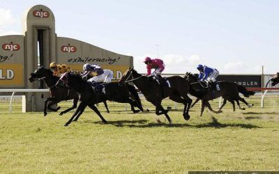 Nissile To Contest At Canterbury