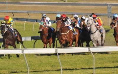 The Stable To Compete At Taree On Monday