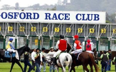 Two Stable Runners To Compete At Gosford On Monday