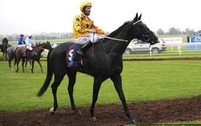 Spinning Gold Returns To Winners Circle At Gosford