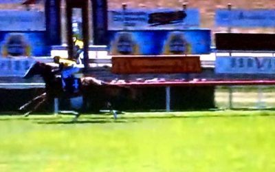 Strong win By Pirate Ben At Armidale To Score By 5.0 Lengths