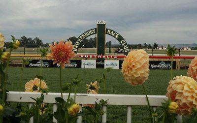 Two Stable Runners To Compete At Hawkesbury On Tuesday