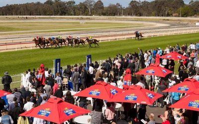 War Paint Waiting To Gain A Start At Wyong