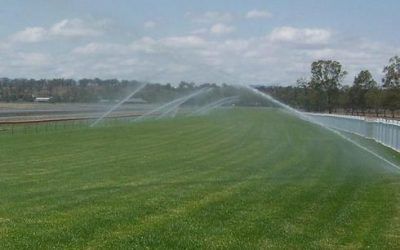 Muswellbrook Stable Runners