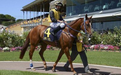 Star Approach To Compete At Gosford