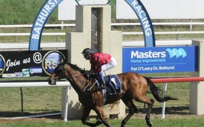 The Stable To Take 2 Runners To Bathurst On Monday