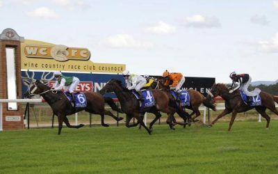 Two Stable Runners To Compete At Cessnock On Monday