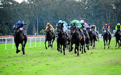 The Stable Heads To Taree With 2 Runners