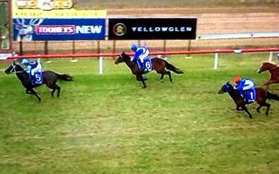 Watta General Puts In A Solid Effort To Run Third At Cessnock