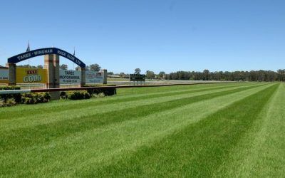 Taree Stable Runners For Sunday