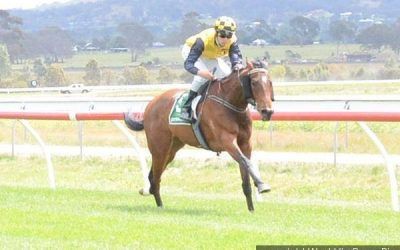 Orlando Jack To Fly The Flag For The Team On Tuesday At Taree