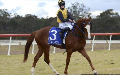 Pirate Ben To Compete At Rosehill On Wednesday