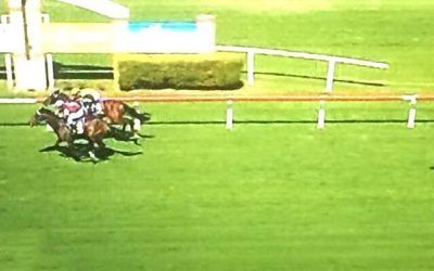 Orlando Jack Just Misses At Taree