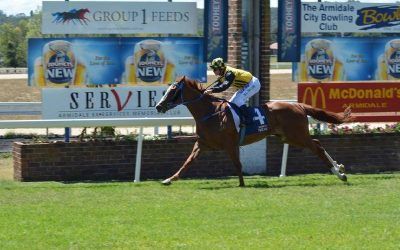 Pirate Jack To Compete At Armidale On Monday