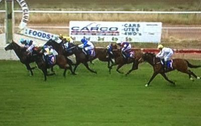 Orlando Jack Runs a Third At Coonamble