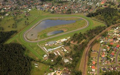 Stable Runners For Taree