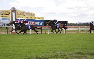 Kate’s Pearl To Compete At Cessnock On Monday