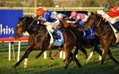 All But Gone To Compete For The Lane Yard At Randwick On Saturday