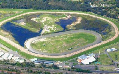 Star Approach Accepts to the Wyong race club meeting