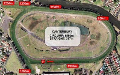 Helensburgh Ham To Run At Canterbury On Saturday