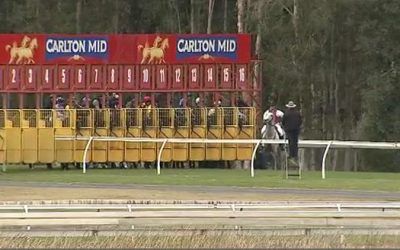 Two Stable Runners To Compete At Wyong On Tuesday