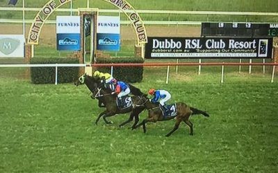 Nakadoo Express Runs A Positive 3rd At Dubbo