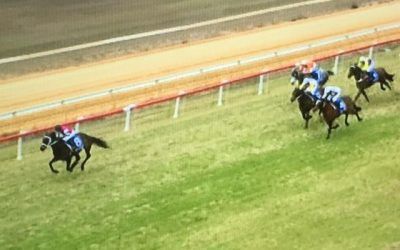 Cervinia Finishes 3rd At Cessnock