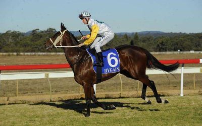 Cervinia A Likely Starter At Wyong