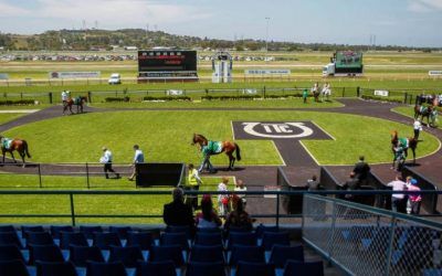 Spinning Gold To Compete At Kembla Grange On Tuesday