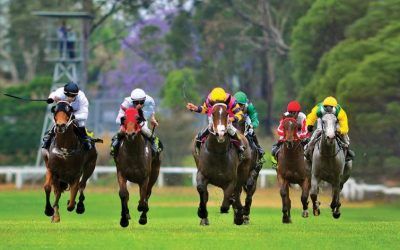 Stable Runners For Kempsey On Monday