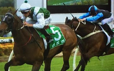 Choice Larga Resumes With A Solid 2nd At Canterbury